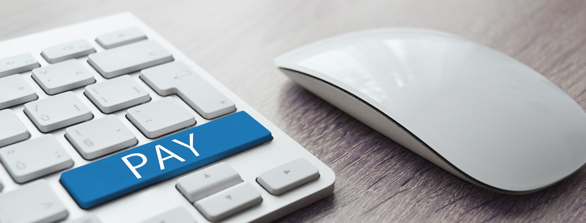 A mouse and a keyboard with a blue pay key