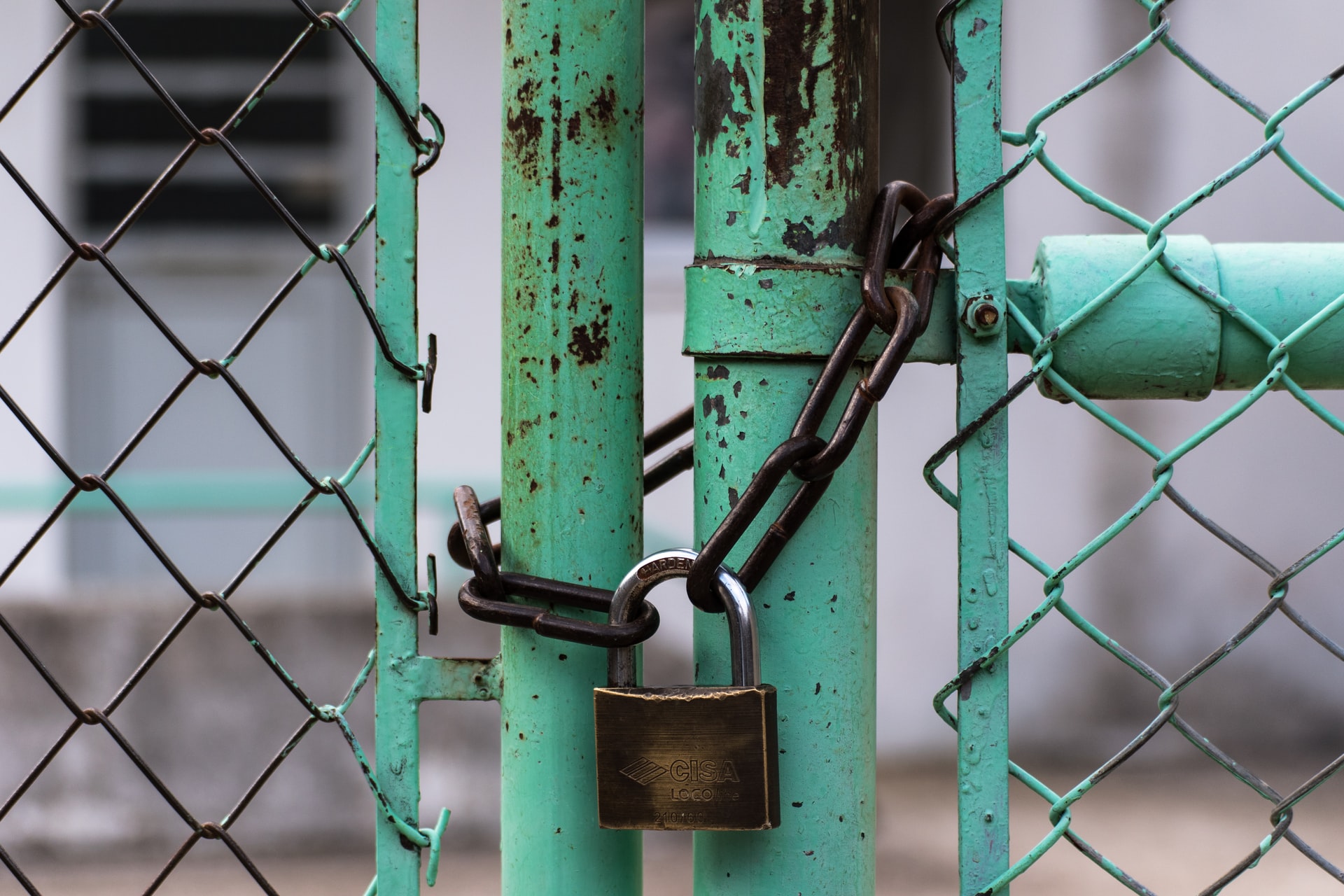 padlock securing green gate with a chain