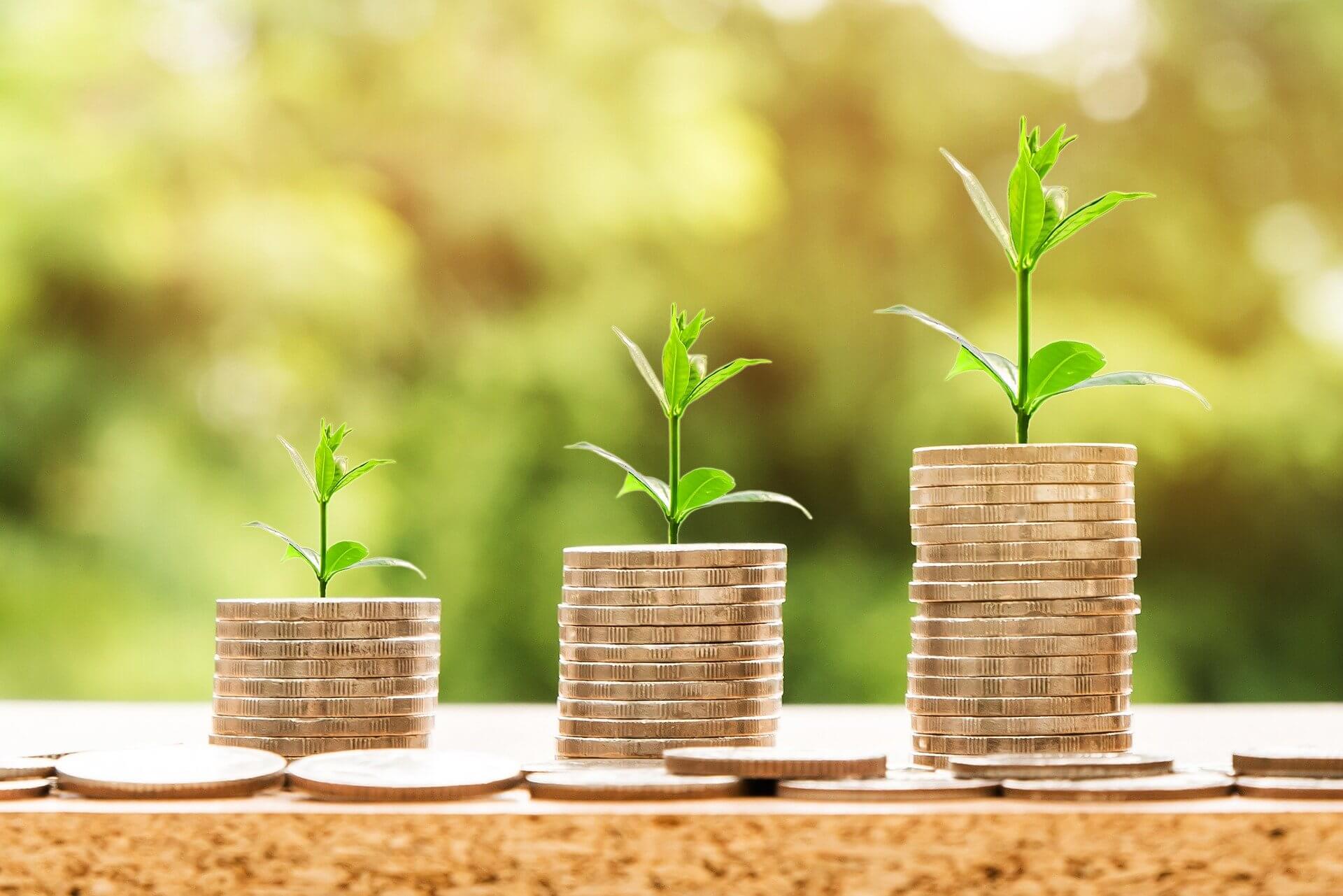 Plants growing on stacks of coins